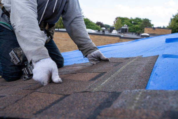 Roof Waterproofing Services in Landen, OH